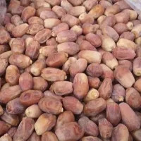 خرما|خوردنی و آشامیدنی|قم, شهرک قدس|دیوار