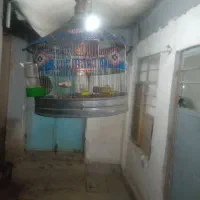 سهره مست خون