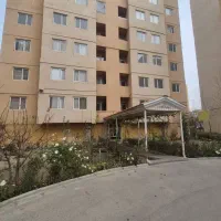 واحد در ابریشم پانی سان