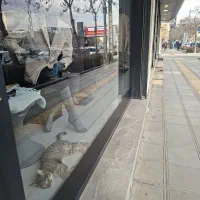 ۲۲ متر  مغازه برج تجاری تخصصی موبایل آبان