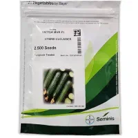 بذر خیار هیبرید ویکتور اصلی   ( Victor MVR F1 )