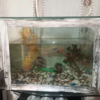 اکواریوم سالم نو