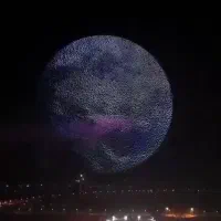 واگذاری گربه