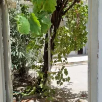 فروش خانه ی ویلایی