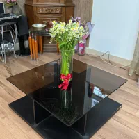 میز وسط چوبی و بار چوبی و دیگر وسایل دکوری