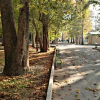 زمین-مسکونی-شهرک-افرا