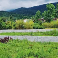 فوری220متر-سندششدانگ-تکبرگ-ویو-دریا-جنگل-عزیز-آباد