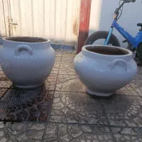 گلدان بزرگ سفالی|گل و گیاه طبیعی|ماهدشت, |دیوار