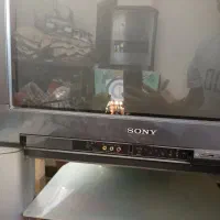 تلوزیون 29 اینچ سونی|تلویزیون و پروژکتور|کلاله, |دیوار