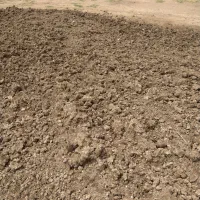 خرید و فروش کود مرغی