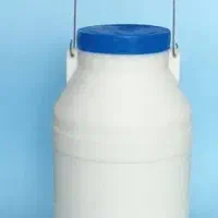 ماست گوسفندی