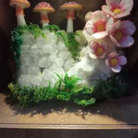 راف طبیعی کریستال همراه قارچ