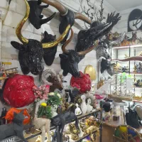 مجسمه گاو دیوارکوب دیواری