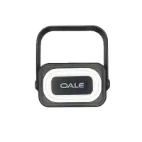 پاوربانک T30000 oale با قیمت عمده|لوازم جانبی موبایل و تبلت|تهران, شهرک شریفی|دیوار