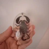 گیرنده دیجیتال|سیستم صوتی خانگی|سبزوار, امیریه|دیوار