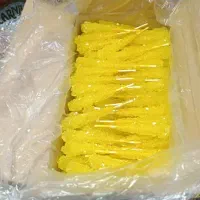 پخش عمده نبات چوبی در استان