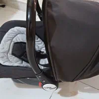 کالسکه و کریر دلیجان|کالسکه و لوازم جانبی|تهران, جوادیه|دیوار