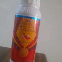 سم مهان