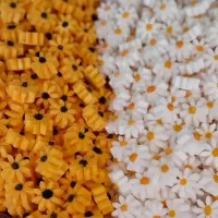 نبات های گیاهی دمنوشی وقندهای تزیینی|عمدهفروشی|مراغه, |دیوار