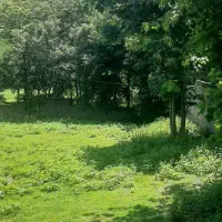 سند دار کردن املاک فاقد سند و قولنامه ای