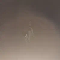 واگذار توله سگ پا کوتاه گوگی داریم