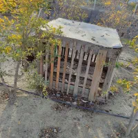 قفس لاری|لوازم جانبی حیوانات|گمیشان, |دیوار