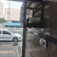 سهره خ