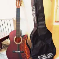 ساز سنتی و گیتار همراه با کیف در فردیس