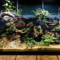 جشنواره ویژه فروش آکواریوم های ocean tiny
