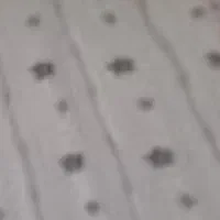 پرده پذیرایی|پرده، رانر، رومیزی|شیراز, نصر|دیوار