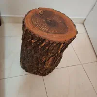 استند تنه درخت
