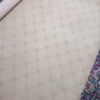موکت نو