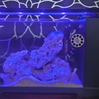 آکواریوم  آب شور شرکتی دلسا