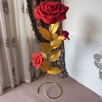 گل فومی کنار سالنی