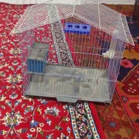 قفسه پرنده|لوازم جانبی حیوانات|پارس‌آباد, |دیوار