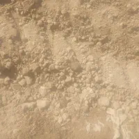 کودپاش