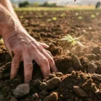 فروش-2جریب-زمین-مرغوب-کشاورزی