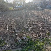 زمین-داخل-بافت