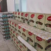 فروش خیارشور