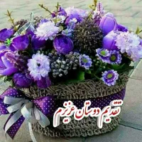 تعدادی لباس و کفش