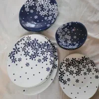 ظروف آرکوپال آبی سفید ظرف