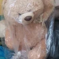 ۴ عدد عروسک بسیار سالم|اسباببازی|مشکیندشت, |دیوار