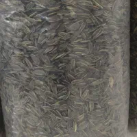 تخمه آفتابگردان|خوردنی و آشامیدنی|تهران, خلیج فارس|دیوار