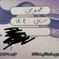 کارت ۲۰ جلسه ای استخر عدالت