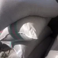 شالی فجر|خوردنی و آشامیدنی|کلاله, |دیوار