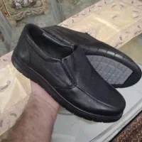 کفش مردانه چرمی نو|کیف، کفش، کمربند|تبریز, |دیوار
