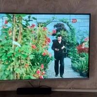 تلویزیون ال ای دی ۴۳ اینچ olive