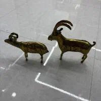 گوزن برنجی