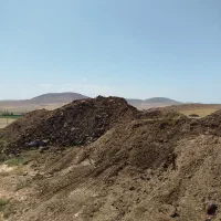 کودحیوانی گوسفندی وگاوی