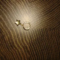 گوشواره طلا گم شده